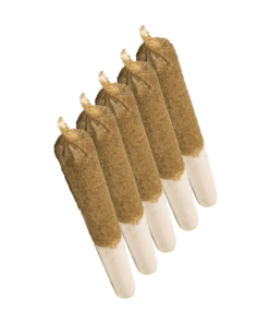 Red Congo Distillate Infused Pre-Rolls 5 Pack Sativa