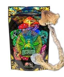 Amazonian Magic Mushrooms | Medusa Extracts