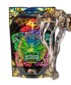 Blue Meanie Magic Mushrooms | Medusa Extracts