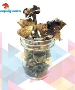 Bulk Brazilian Mushrooms