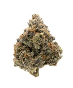 Rockstar | Indica