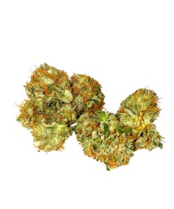 JUICY FRUIT Hybrid