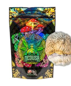 Penis Envy Dino Egg Magic Mushrooms *VERY POTENT* | Medusa Extracts
