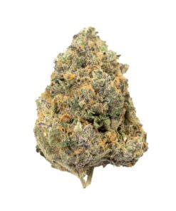 Dolato | Hybrid