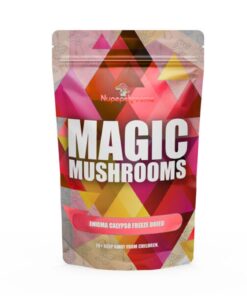Enigma Calypso Freeze Dried Magic Mushroom 3.5G