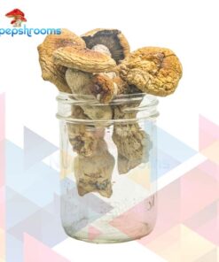 F+ Magic Mushrooms