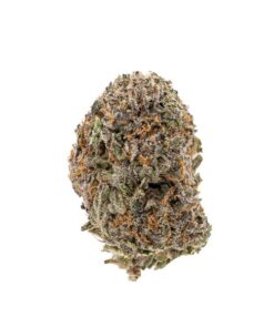 God’s Green Crack | Hybrid