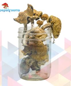 Golden Penis Envy Magic Mushrooms (Premium)