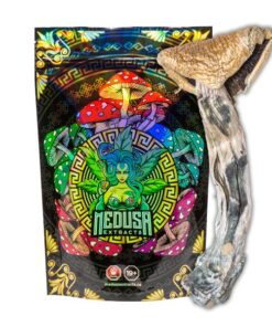 Golden Teachers Magic Mushrooms | Medusa Extracts
