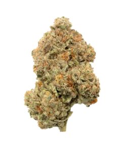 Grease Monkey | Hybrid