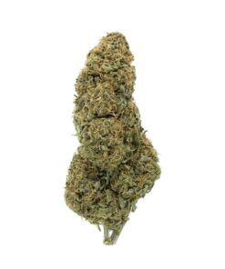 Hempstar | Sativa