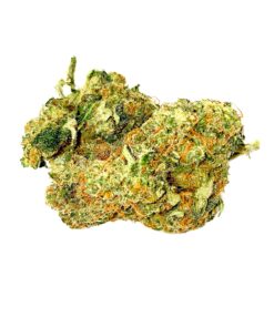 ROMULAN Indica (AAA)