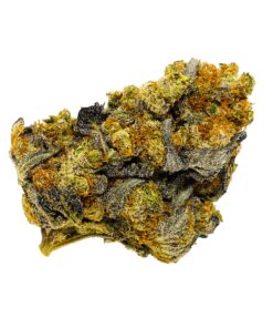BLUE COMA Hybrid
