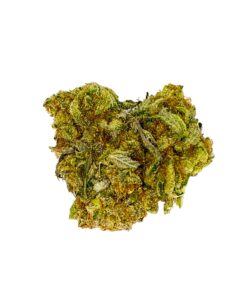 GELATO Hybrid (AAA)