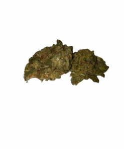 BLOW OUT SALE Critical Mass Hybrid 28G $39