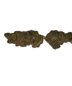 BLOW OUT SALE Wedding Pie Hybrid 28G $69