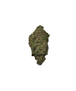 BLOW OUT SALE Apricot 28G $69