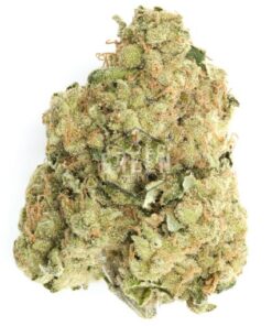 Larry OG | INDICA