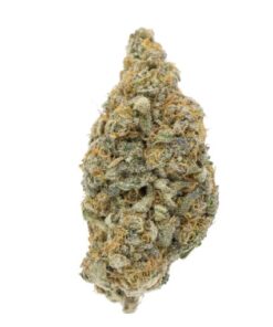 Limoncello Haze | Sativa