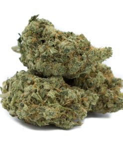 Love Potion | Sativa