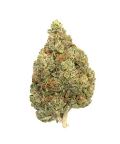 Master Kush | Indica