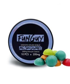 FunGuy – Microdomes – 2000mg