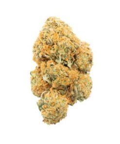Moby Dick | Sativa