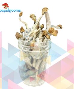 NEW Penis Envy (mostly stems)
