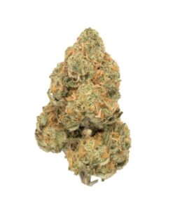 NYC Diesel | Sativa