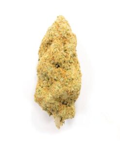 Orange Cookies | Sativa