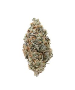 Orange Toffee | Sativa