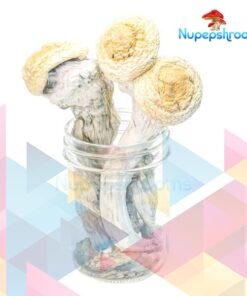 Premium Penis Envy Uncut Magic Mushrooms