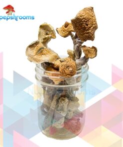 Premium Penis Envy Magic Mushrooms