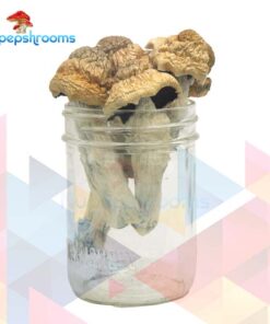 Premium Tri-Colour PE Magic Mushrooms (Premium)