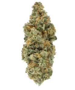 Red Diesel | Sativa