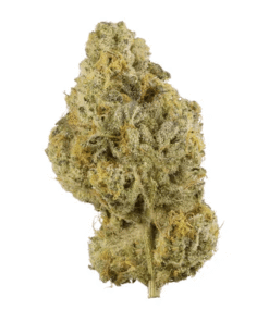 WEDDING CAKE | HYBRID