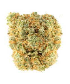 UK Cheese | Hybrid