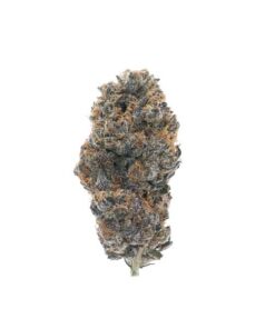 Wedding Cake | Indica