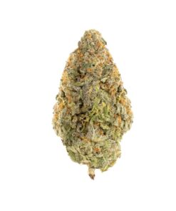 White Castle | Hybrid