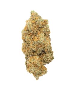 White Widow | Hybrid