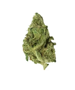 BLOW OUT SALE Banana Skunk Hybrid 28G $75