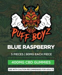 Puff Boyz 400mg CBD Blue Raspberry Gummies