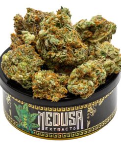 Blueberry Kush Tuna Can | Medusa Extracts