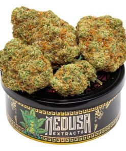 Jack Herer Tuna Can | Medusa Extracts