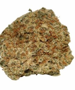 Maui Waui Sativa 28G $49 BLOW OUT SALE