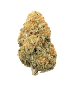 Lemon Drop | Hybrid