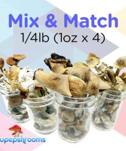 Mix and Match Shrooms 1/4lb (1oz x 4)
