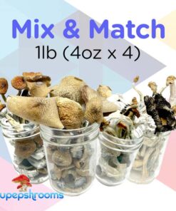 Mix and Match Shrooms 1lb (4oz x 4)