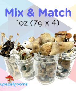 Mix and Match Shrooms 1oz (7g x 4)