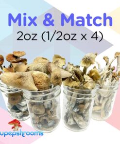 Mix and Match Shrooms 2oz (1/2oz x 4)